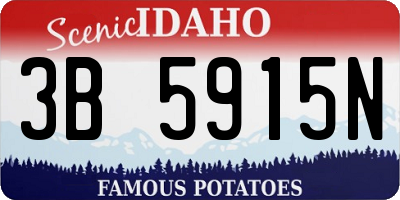 ID license plate 3B5915N