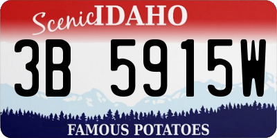 ID license plate 3B5915W