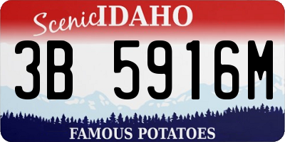 ID license plate 3B5916M