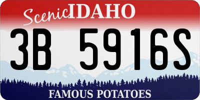 ID license plate 3B5916S