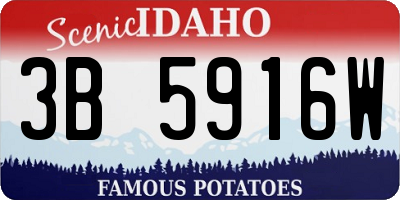 ID license plate 3B5916W