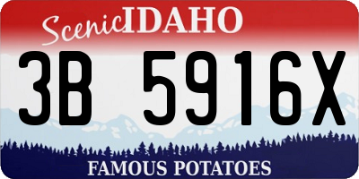 ID license plate 3B5916X