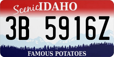 ID license plate 3B5916Z