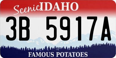 ID license plate 3B5917A