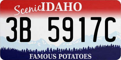 ID license plate 3B5917C