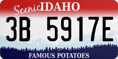 ID license plate 3B5917E