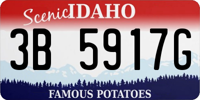 ID license plate 3B5917G