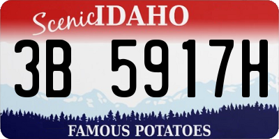 ID license plate 3B5917H