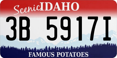 ID license plate 3B5917I