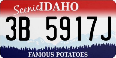 ID license plate 3B5917J