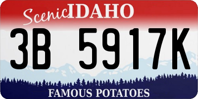 ID license plate 3B5917K
