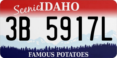 ID license plate 3B5917L