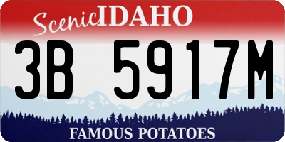 ID license plate 3B5917M