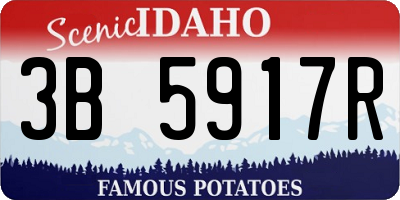 ID license plate 3B5917R