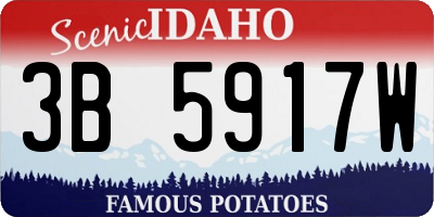 ID license plate 3B5917W