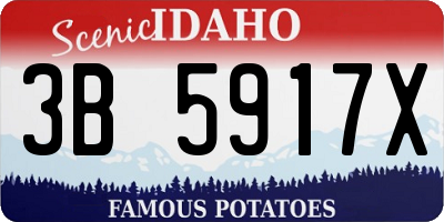 ID license plate 3B5917X