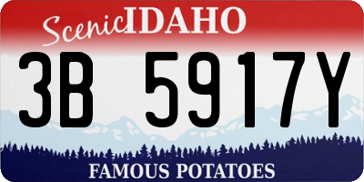 ID license plate 3B5917Y