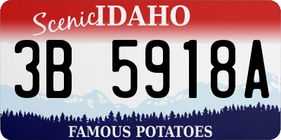 ID license plate 3B5918A