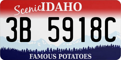 ID license plate 3B5918C