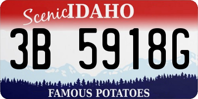 ID license plate 3B5918G