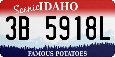 ID license plate 3B5918L