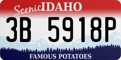 ID license plate 3B5918P