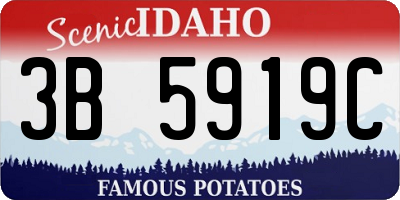 ID license plate 3B5919C
