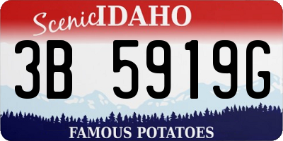 ID license plate 3B5919G