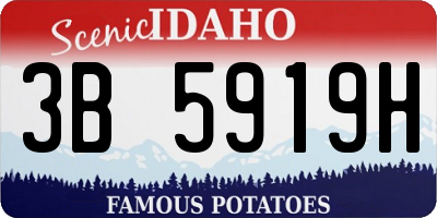 ID license plate 3B5919H