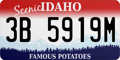 ID license plate 3B5919M