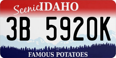 ID license plate 3B5920K