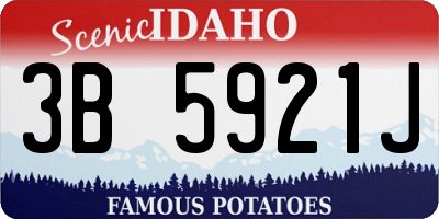 ID license plate 3B5921J
