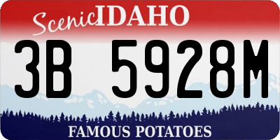 ID license plate 3B5928M