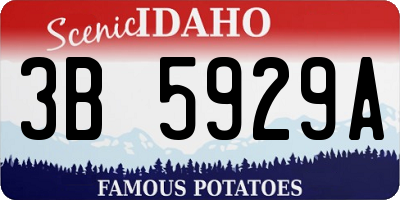 ID license plate 3B5929A