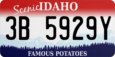 ID license plate 3B5929Y