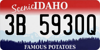 ID license plate 3B5930Q