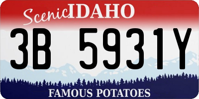 ID license plate 3B5931Y