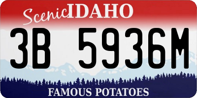 ID license plate 3B5936M