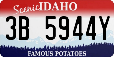 ID license plate 3B5944Y