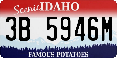 ID license plate 3B5946M