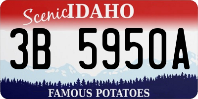 ID license plate 3B5950A