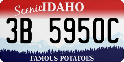 ID license plate 3B5950C
