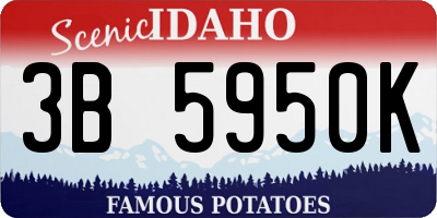 ID license plate 3B5950K