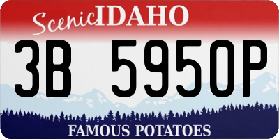 ID license plate 3B5950P
