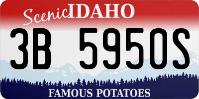 ID license plate 3B5950S