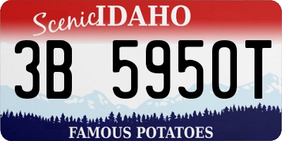 ID license plate 3B5950T