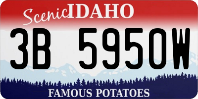 ID license plate 3B5950W