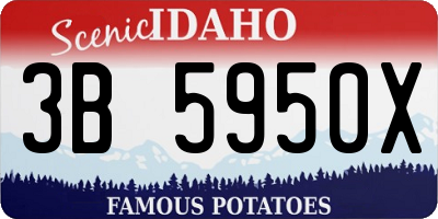 ID license plate 3B5950X