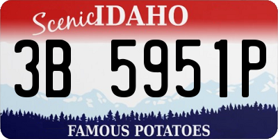 ID license plate 3B5951P