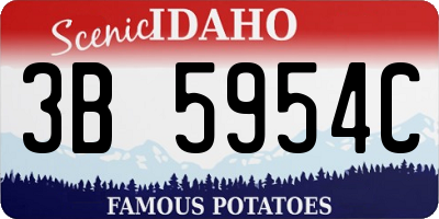 ID license plate 3B5954C